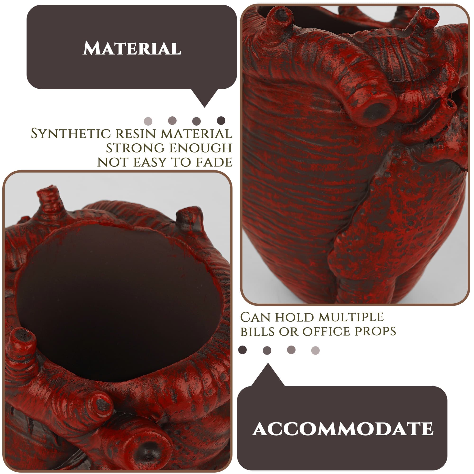 JANKOW Anatomical Heart Pencil Holder, Red Resin Organ-Shaped Pen Cup Desk Organizer, Realistic Human Heart Decor, Stable Base - 3