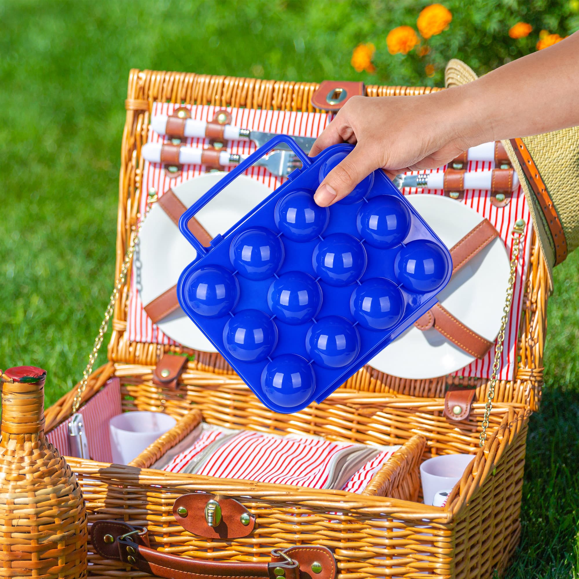 JANKOW 2 PCs Portable Egg  Carrier with Handle, 24 Grids Camping Holder for Eggs, Portable Container for Travel, Outdoor Hiking, Picnic(Green and Blue) Gift: 2 x Flowers - 5