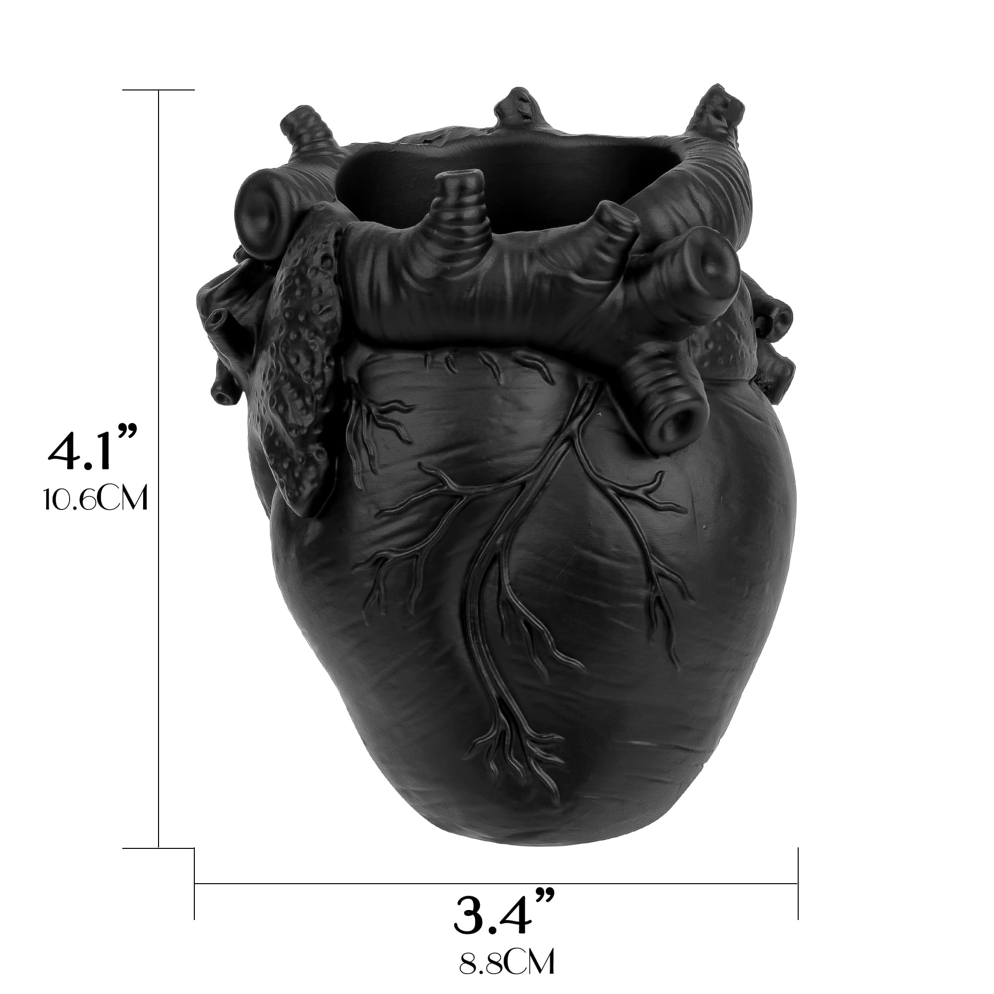 JANKOW Anatomical Heart Pen Holder, Black Resin Pencil Holder for Desk, Gothic Anatomy Decor Desk Organizer, 1-Pack - 1