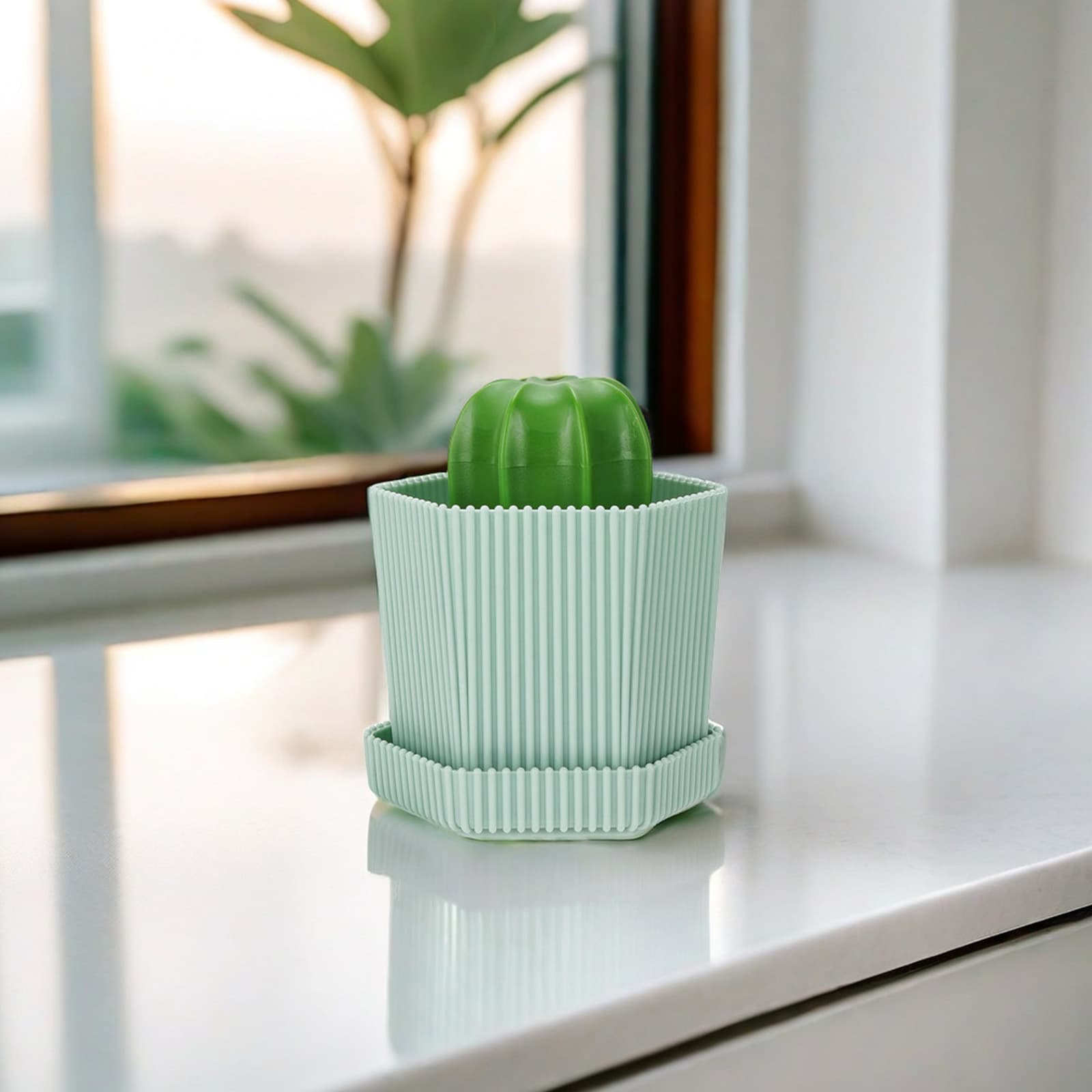 JANKOW Cactus Dish Mini Brush, Cactus Cleaning Brush, Cactus Cleaning Ball, with Drip Tray with 3 Replacement Brushes, for Cleaning Dishes, Pans, Pots, Sink, Countertop (1 Set Green) - 3