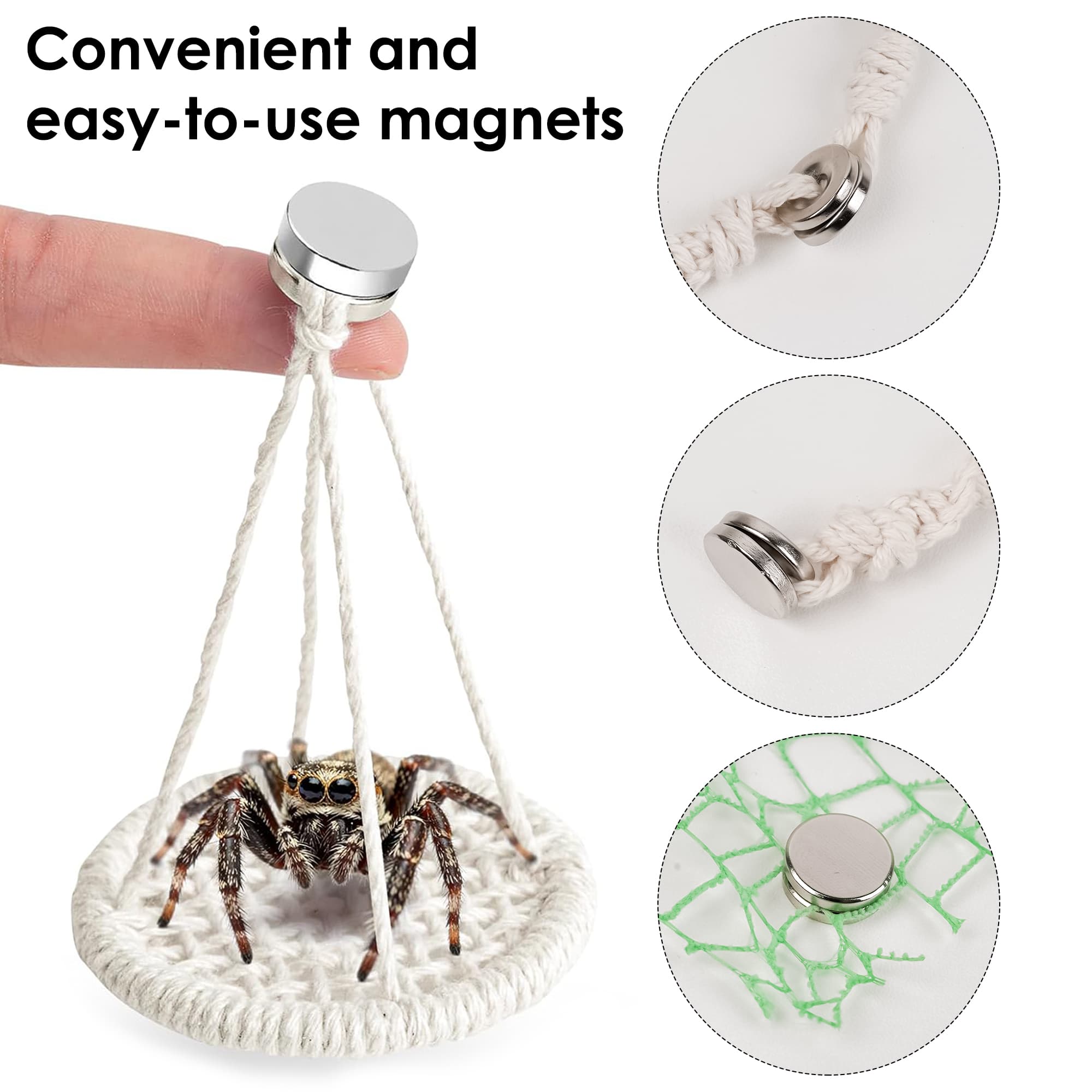 ReignSword 6 Pack Magnetic Jumping Spider Rope Bridge Set, Soft Cotton Rope Spider Climbing Bridge for Enclosure Habitat, Jumping Spider Tank Accessories for Molting Perch & Terrarium Decor - 3