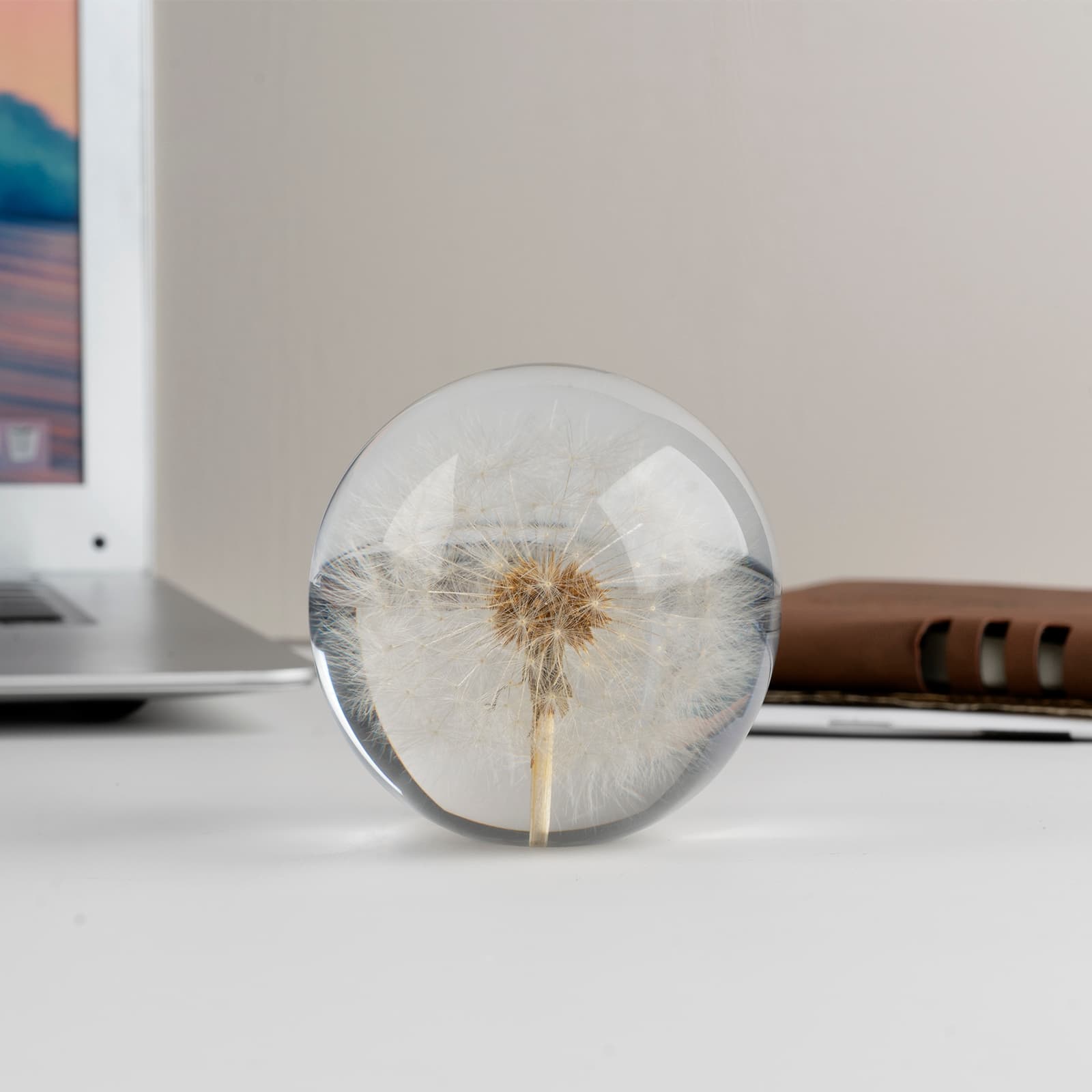 CAIRIAC Crystal Dandelion Resin Ball, Real Dandelion Paperweight and Specimen Ball Home Office Deco for Anniversary Christmas Birthday Wedding Gift (68mm) - 4