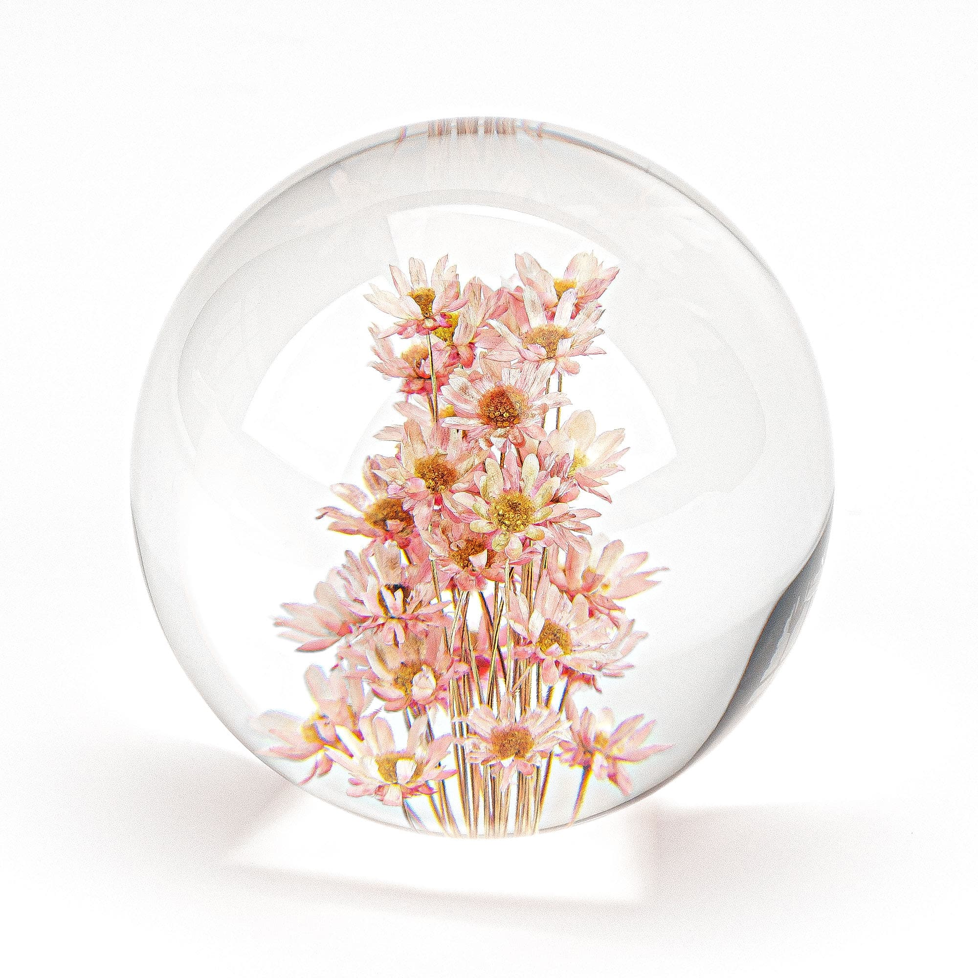 Cairiac Crystal Red Daisy Resin Ball, Real Paperweight Specimen Ball Home Office Decor, Resin Daisy Globe for Anniversary Christmas Birthday Wedding Gift (68mm) - 4