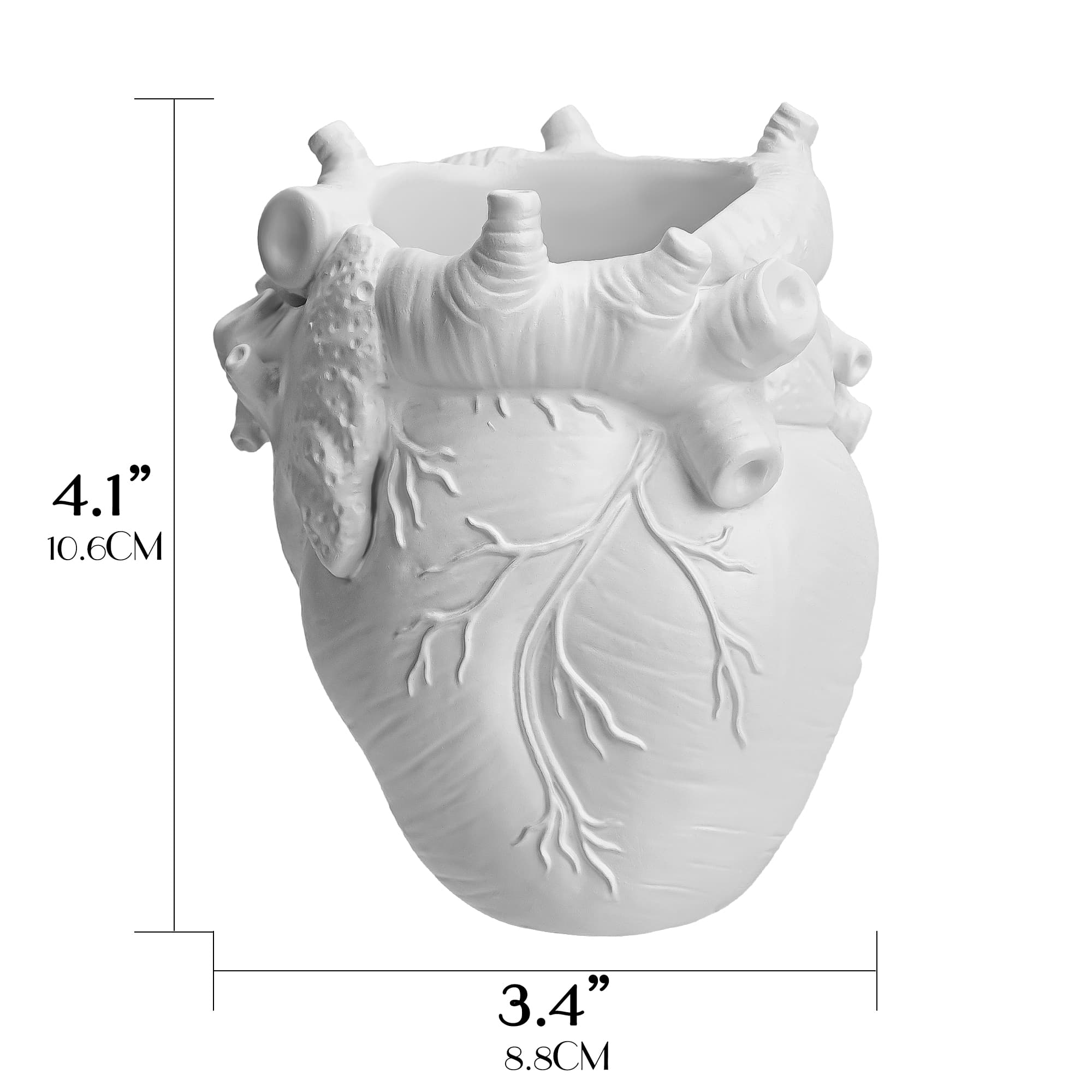 JANKOW Anatomical Heart Pencil Holder, Resin Organ-Shaped Pen Cup Desk Organizer, Realistic Human Heart Decor, 1-Pack - 1