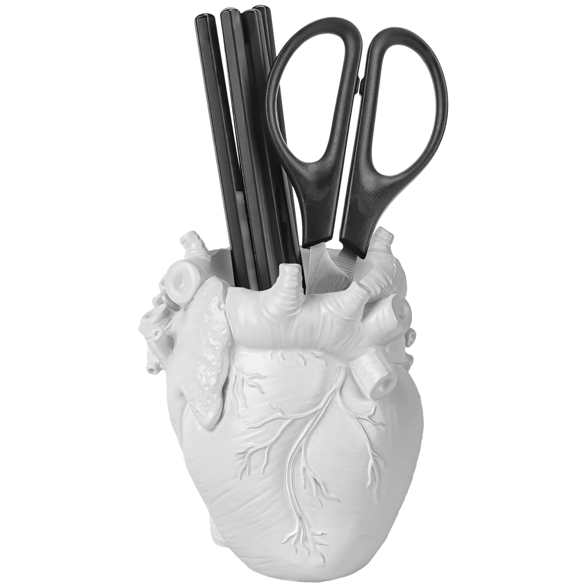JANKOW Anatomical Heart Pencil Holder, Resin Organ-Shaped Pen Cup Desk Organizer, Realistic Human Heart Decor, 1-Pack - 4