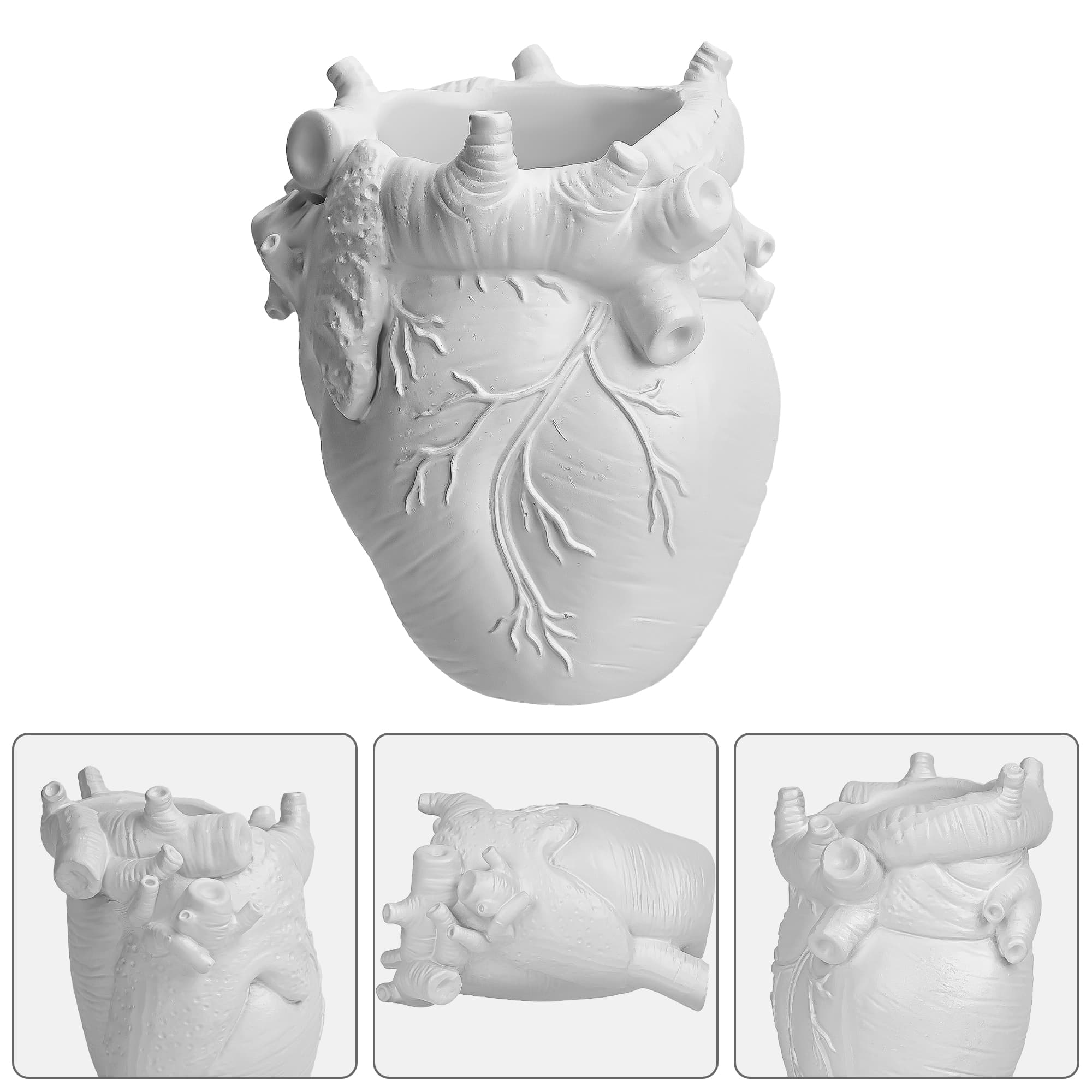 JANKOW Anatomical Heart Pencil Holder, Resin Organ-Shaped Pen Cup Desk Organizer, Realistic Human Heart Decor, 1-Pack - 5